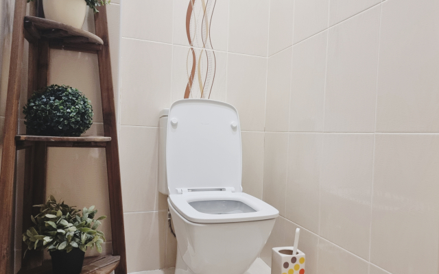 Zaselyajsya Flat