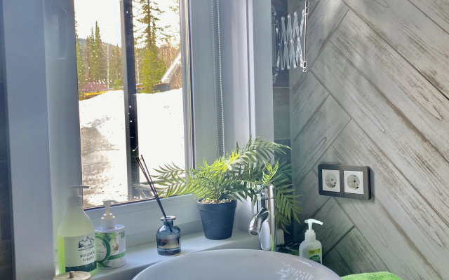 Частный дом уютный барн Green House