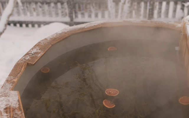 Частный дом в лесу