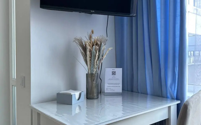 Studiya V Zhzh Prokshino Flat