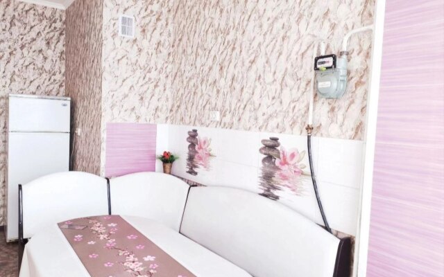 Uyutnaya Kvartira Na 2 Persony. Turusbekova Apartment