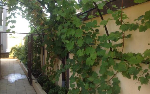 Violetta Guest House