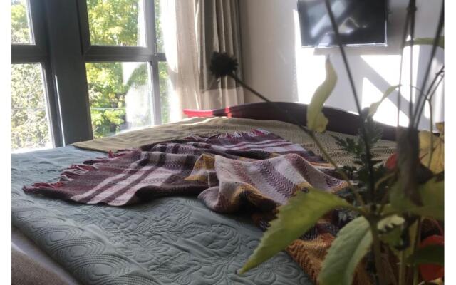 Uyutnaya Kvartira v Samom Tsentre Kislovodska Apartments