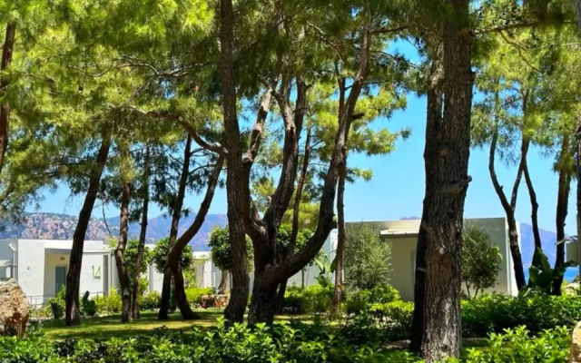 Отель Z-Villas Beach Hotel