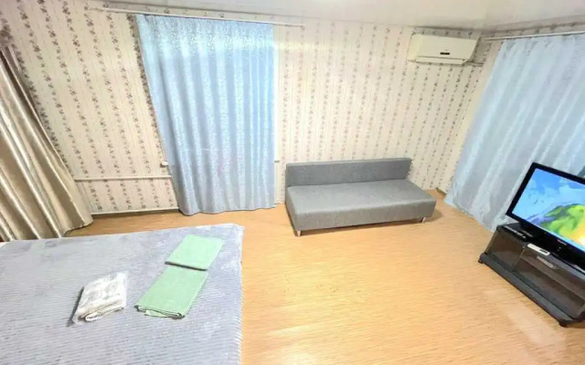 Апартаменты на Карла Маркса 115-1