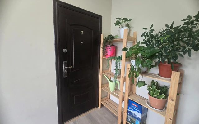 Apartamenty v Tsentre Pyatigorska 1