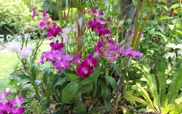 Мини-Отель Whiteelephant Resort