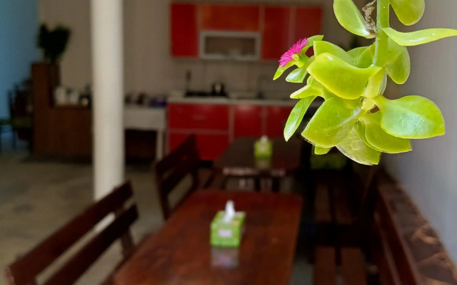 Pod Palmoy Guest House