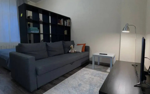 Апартаменты Чайковского 48