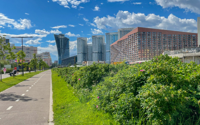 Апартаменты Уютные у метро ЦСКА