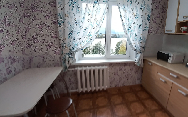 Квартира уютная, с красивым видом на пруд