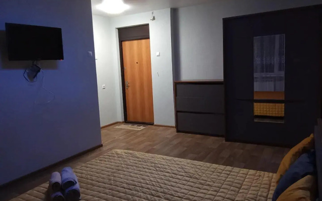 Квартира Однокомнатная Рядом С Центральным Парком