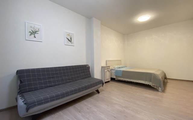 Квартира двухкомнатная (57кв.)  рядом с Зоо, ИжГТУ, Купол Семейная Botanika House