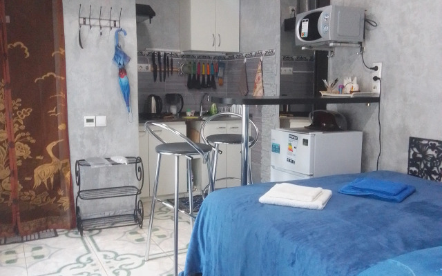 Kompaktnaya Ministudiya Vozle Vokzalov Flat