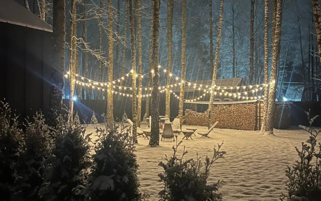 Частный дом У Березы