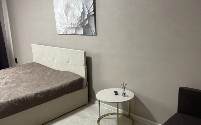 Квартира Красноармейский 106А