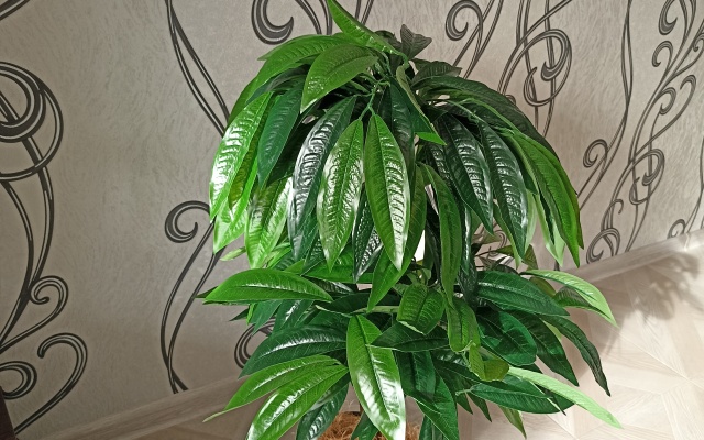 Апартаменты элитные у ТЦ Евроленд