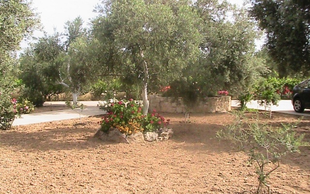 Afroditi Villa