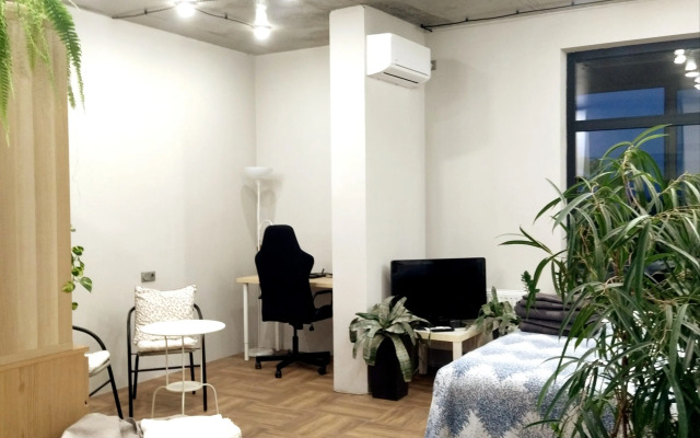 Vidovaya Loft Studiya ZhK Mankhetten Flat