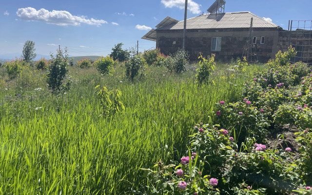 Частный дом Tooi Ecolodge