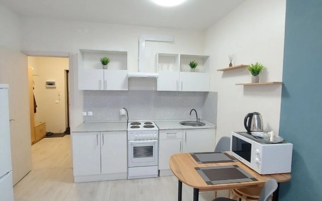 Yevro-Dvukhkomnatnaya Okolo Trk Planety I Sk Sukhareva Flat