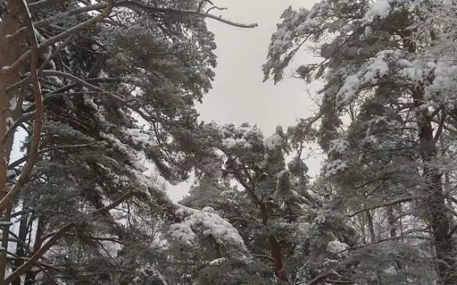 Частный Дом Озерная 38