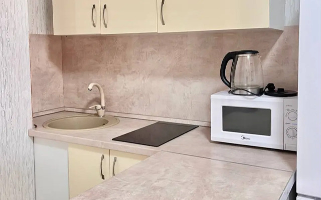 Апартаменты на Революции