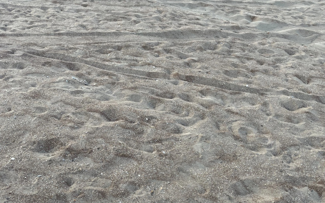 Частный дом Дача На Берегу Моря