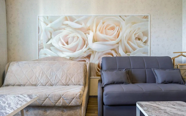 Апартаменты на Краснозвёздной Улице 31