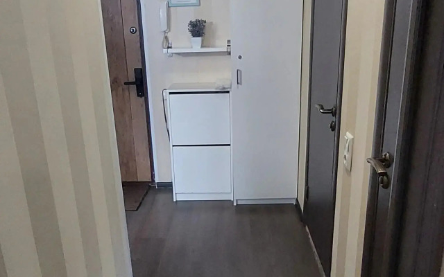 Na Lomonosova Apartments
