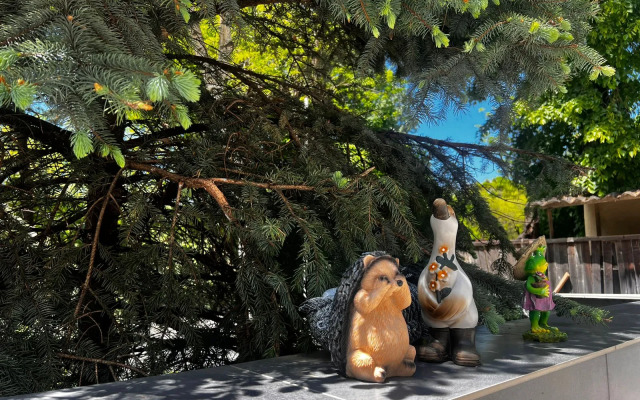 Отель  Турист Кисловодск