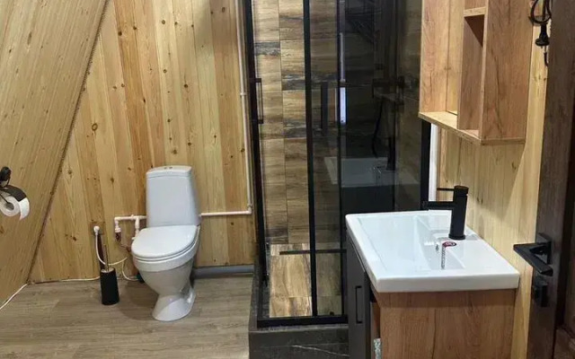 Private house A-frame