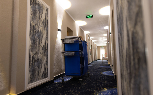 Hotel Aviator Sheremetyevo