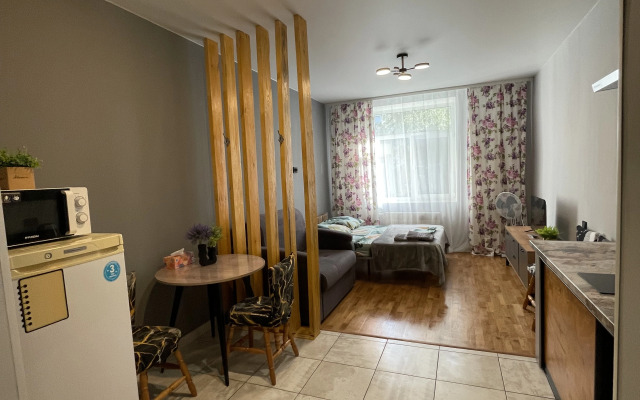 Uyutnaya Studiya Okolo Zh/d Vokzala Flat