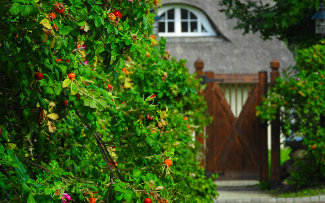 База отдыха Диканька