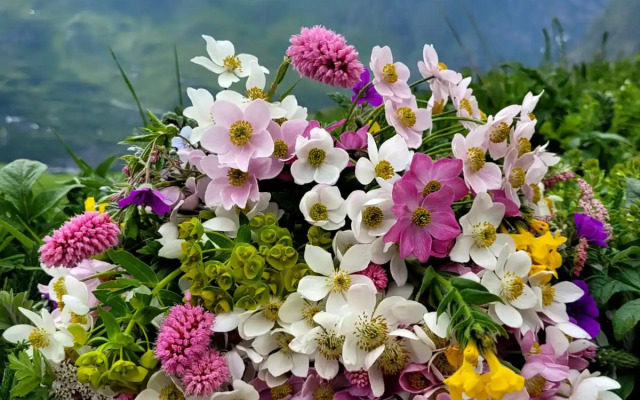 Квартира по дороге Шелкового пути