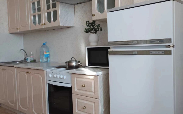 Na Gatchinskoy Ulitse 20 Flat
