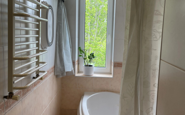 Uyutnaya Mansarda V Tsentre Flat