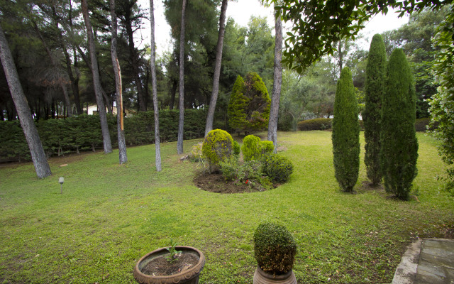 Araucaria Shared Pool Sani Villa