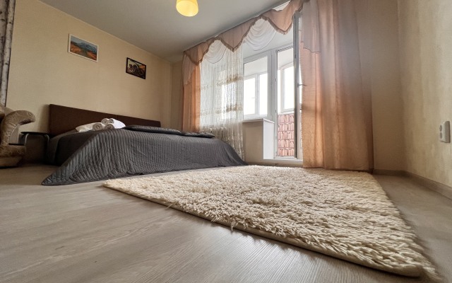 1kv South Port Shopping center Favorite of Demyan Bedny 92 Apartments