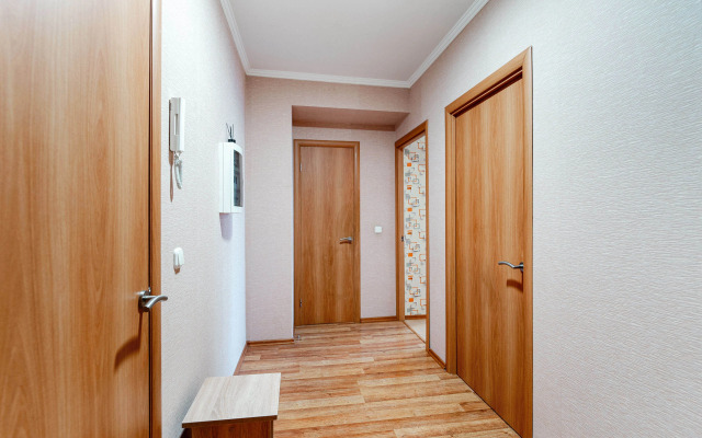 Uyutnaya kvartira v tsentre levoberezhyya Flat