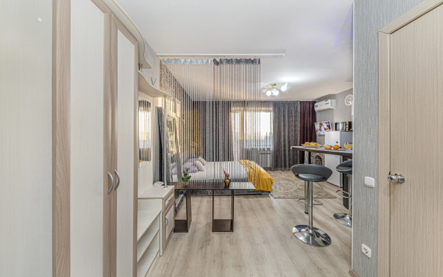 Studiya s vidom na lesoparkovuyu zonu Flat