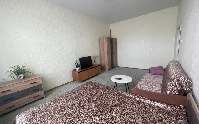 Na Lenina Flat