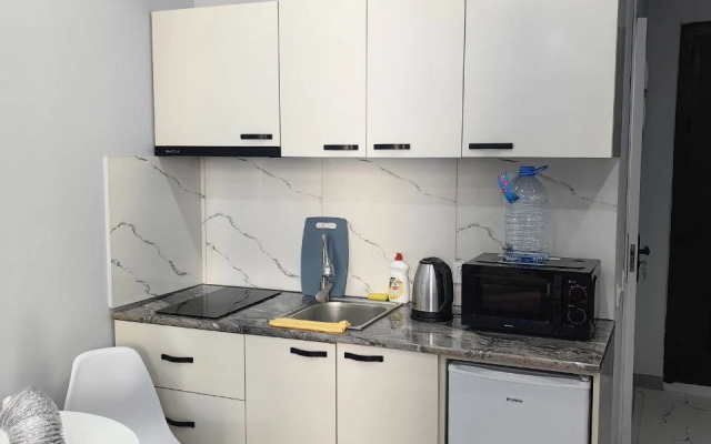 Uyutnaya studiya na beregu chernogo morya Apartments