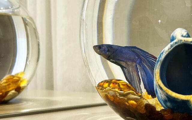 Квартира на Памяти павших в Афганистане 24