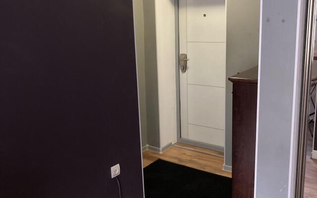 Апартаменты на Невского