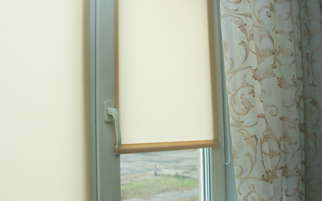 Ryzhiy Kot vozle Parka Apartments