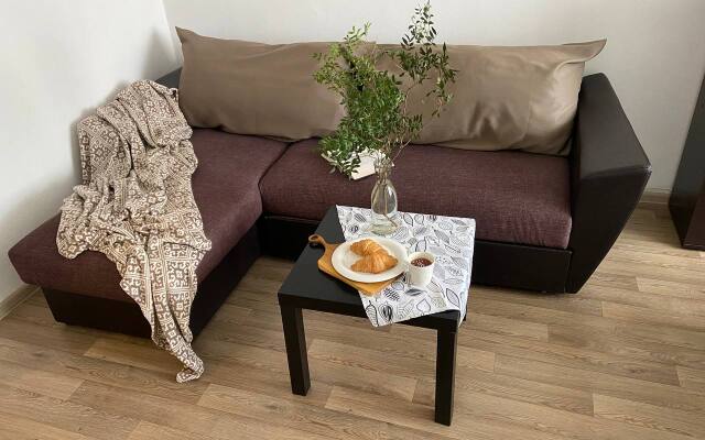S Vidom Ptich'ego Poleta Apartments