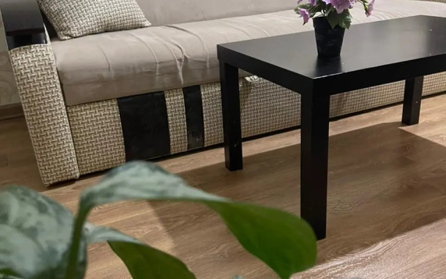 Uyutnaya Kvartira U Morya V Tsentre Flat