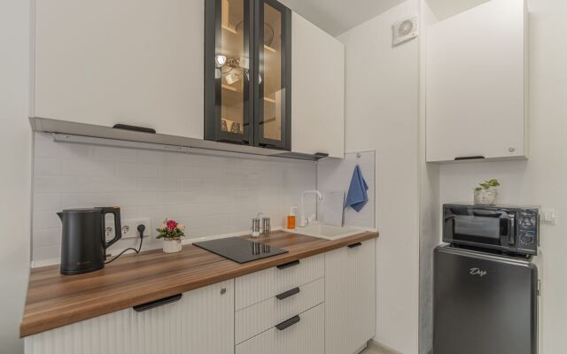 Studiya Na Mikhaylovskaya 51 Apartments